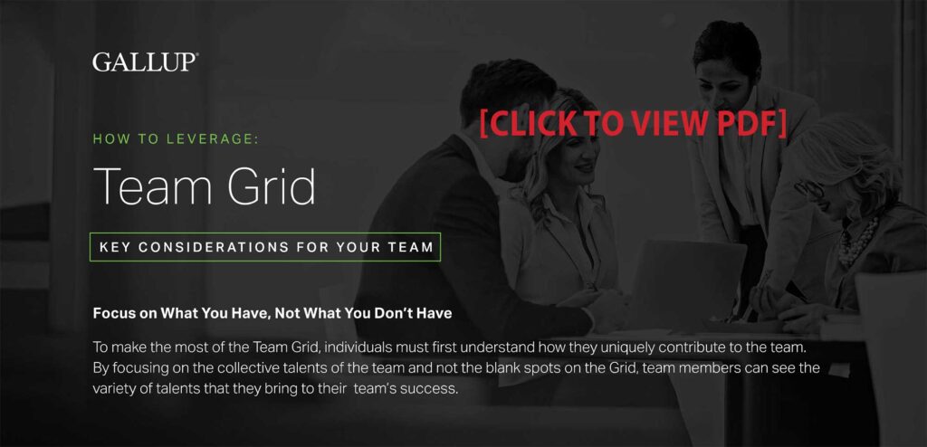 How to leverage your team grid
